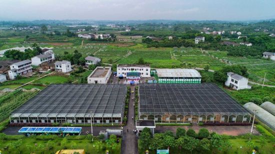 璧山农业科技园区 璧山农业科技园区