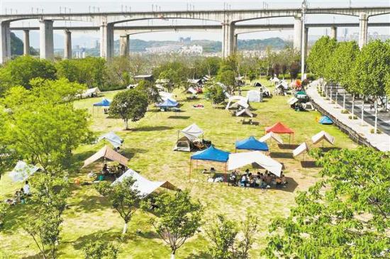 4月29日,位于两江新区的金海湾滨江公园,不少市民在草地上搭帐篷游玩。 张锦辉 摄/视觉重庆 4月29日,位于两江新区的金海湾滨江公园,不少市民在草地上搭帐篷游玩。 张锦辉 摄/视觉重庆