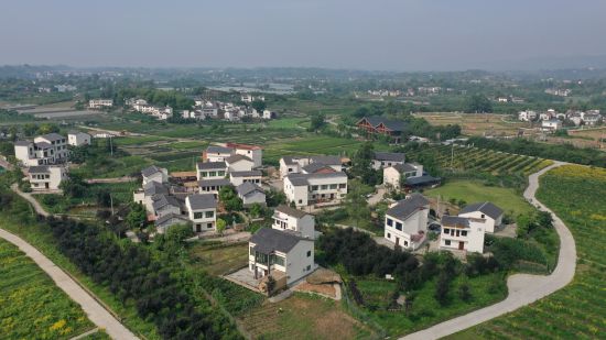 图为七塘镇美丽乡村。佘林川 摄 图为七塘镇美丽乡村。佘林川 摄