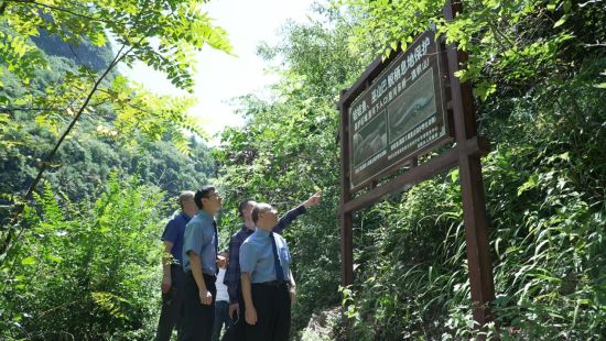 图为重庆市巫山县检察院会同重庆五里坡国家级自然保护区管理事务中心、县林业局、当阳乡政府共同开展巫山巴鲵及其栖息地保护巡查。巫山县委宣传部 供图 图为重庆市巫山县检察院会同重庆五里坡国家级自然保护区管理事务中心、县林业局、当阳乡政府共同开展巫山巴鲵及其栖息地保护巡查。巫山县委宣传部 供图