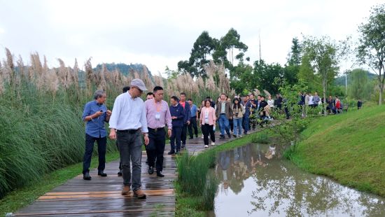 中国湿地保护协会小微湿地助力乡村振兴主题研讨会在梁平区举行(图2)
