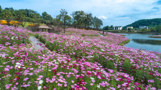 巴南区天坪山云林天乡景区推出丰富多彩的活动邀市民和游客前往打卡(图1)