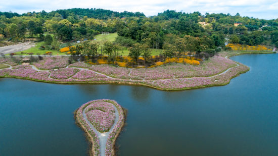 巴南区天坪山云林天乡景区推出丰富多彩的活动邀市民和游客前往打卡(图2)