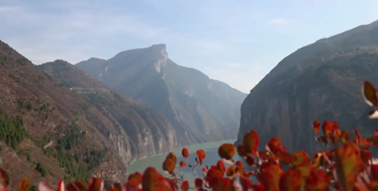 图为瞿塘峡秋韵。彭国威 摄 图为瞿塘峡秋韵。彭国威 摄