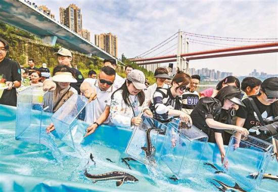 《长江有鱼》 九龙坡 齐岚森 摄 《长江有鱼》 九龙坡 齐岚森 摄