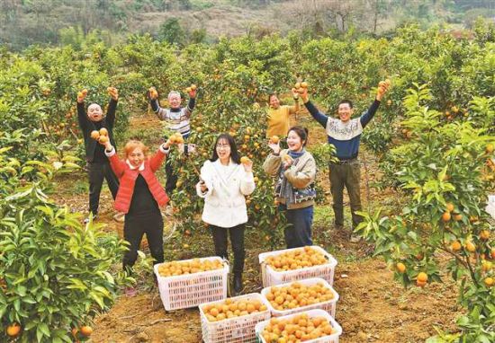 《丰收笑脸》 合川 罗明均 摄 《丰收笑脸》 合川 罗明均 摄