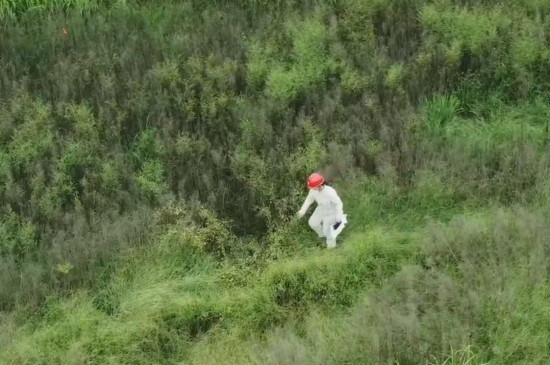 ͼΪ���Ŵ����Ӳݴ����Ļĵء����Ӻ� ��