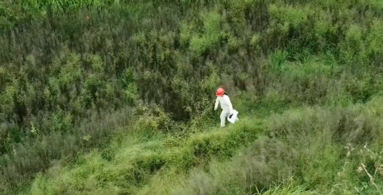 勘测“女尖兵”(1)