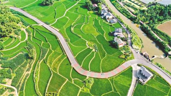 梁平区渔米路入选第一批交通运输与旅游融合发展典型案例。图为渔米路礼让段,绿色的稻田与公路相映成景(摄于5月29日)。通讯员 熊伟 摄/视觉重庆 梁平区渔米路入选第一批交通运输与旅游融合发展典型案例。图为渔米路礼让段,绿色的稻田与公路相映成景(摄于5月29日)。通讯员 熊伟 摄/视觉重庆
