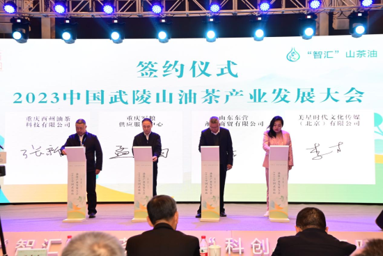 集智赋能“酉阳800” 2023中国武陵山油茶产业发展大会举行(2) 集智赋能“酉阳800” 2023中国武陵山油茶产业发展大会举行(2)