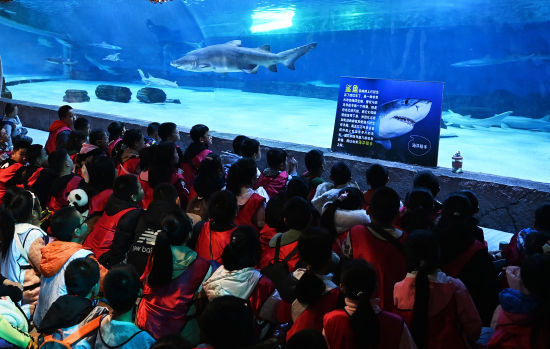 重庆：小学生探索“海底世界”开启趣味研学课堂(图4)