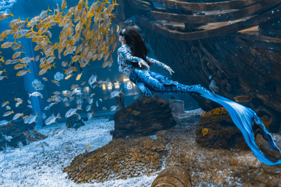 图为比赛现场。 重庆融创海世界供图 图为比赛现场。 重庆融创海世界供图