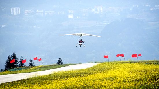 巴南区将举办首届川渝青少年低空飞行系列赛(图2)