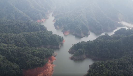 人数是太少台湾以注册率为整