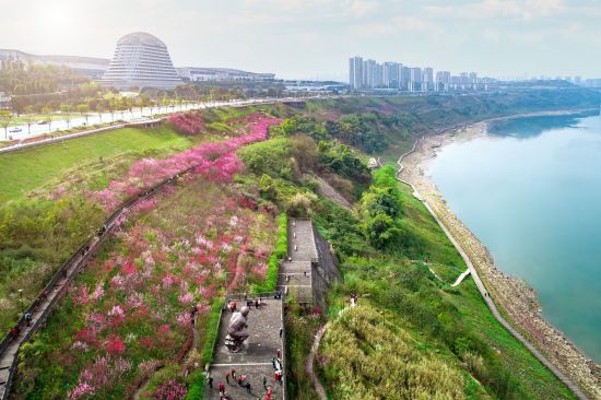 图为悦来江湾风景。 张坤琨 摄 图为悦来江湾风景。 张坤琨 摄