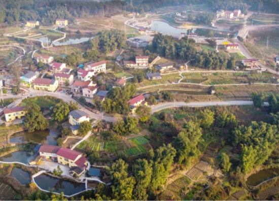 图为西山坪村。建行重庆市分行供图 图为西山坪村。建行重庆市分行供图