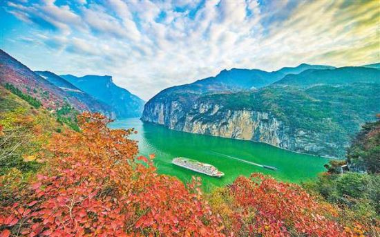 瞿塘峡红叶。通讯员 王正坤 摄/视觉重庆 瞿塘峡红叶。通讯员 王正坤 摄/视觉重庆