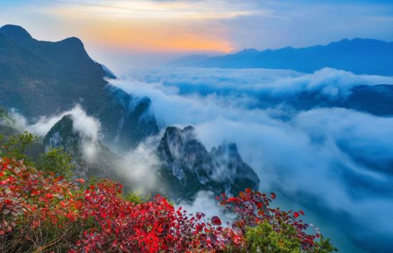 图为巫山红叶美景。巫山县委宣传部供图 图为巫山红叶美景。巫山县委宣传部供图