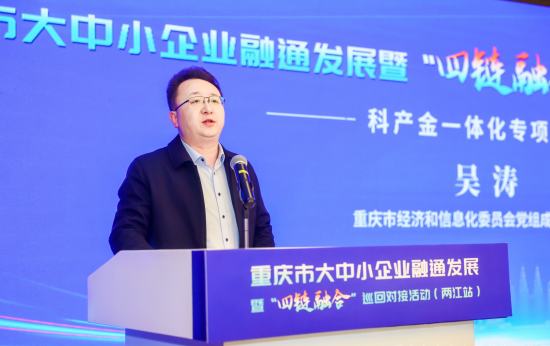 图为重庆市经济和信息化委员会党组成员,副主任吴涛致辞.