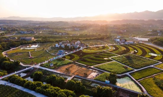 图为奉节天星村太阳能路灯。公益同时，绘便 缓起阳 摄