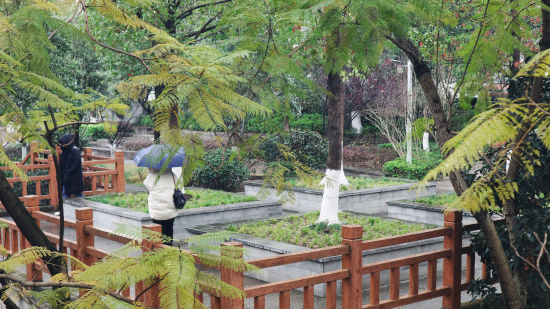 2024年2月22日,重庆市沙坪坝区土主镇民心路惠民小区内,小区居民从舒适的环境走过。图/胡晨愉 2024年2月22日,重庆市沙坪坝区土主镇民心路惠民小区内,小区居民从舒适的环境走过。图/胡晨愉