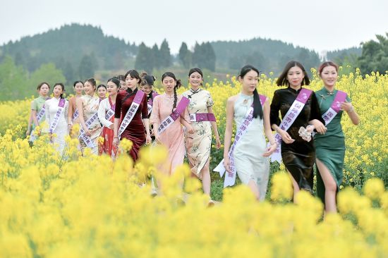 ͼΪѡ�������������ҹ�����軨��������չ�ɷ���֣�� ��