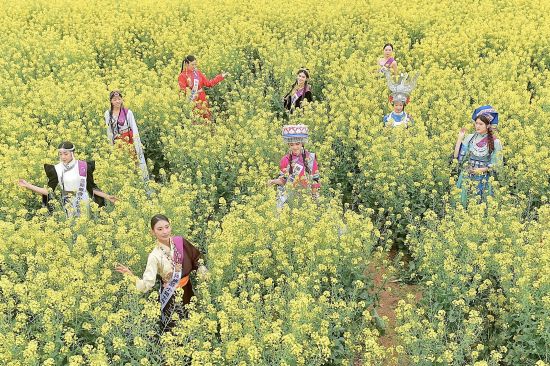 ͼΪѡ�������������ҹ�����軨��������չ�ɷ���֣�� ��