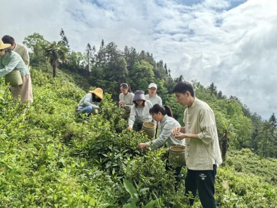 而且助攻队友挨进尾球