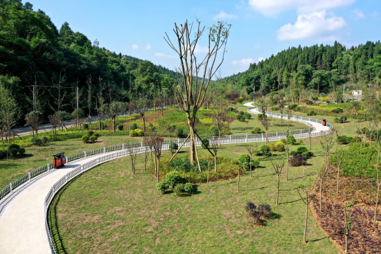 图为花园式露天矿山厂区。 重庆市涪陵区应急管理局供图 图为花园式露天矿山厂区。 重庆市涪陵区应急管理局供图