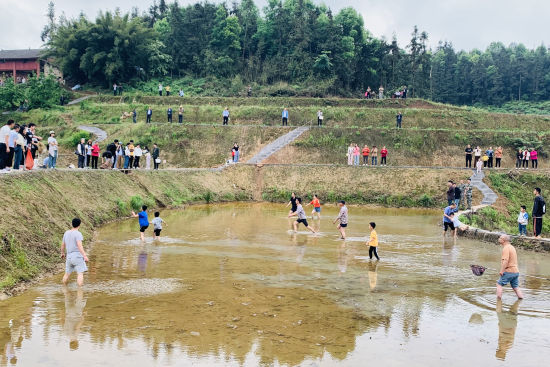 图为活动现场。梁钦卿 摄 图为活动现场。梁钦卿 摄
