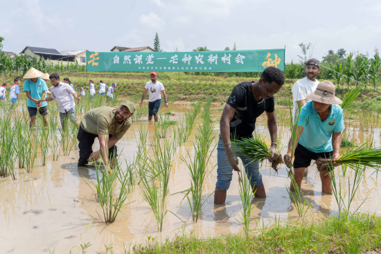 图为活动现场。主办方供图 图为活动现场。主办方供图