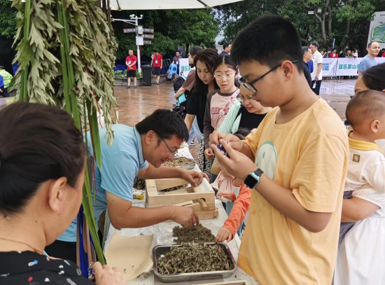 图为陈平向游客介绍艾草产品。铜梁区委宣传部供图 图为陈平向游客介绍艾草产品。铜梁区委宣传部供图