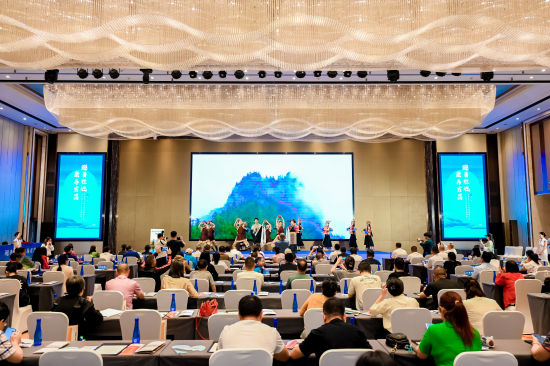 图为推介会现场。受访者供图 图为推介会现场。受访者供图