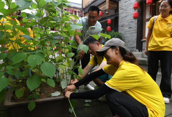 图为大学生在工作人员引导下体验打麻。周毅 摄 图为大学生在工作人员引导下体验打麻。周毅 摄