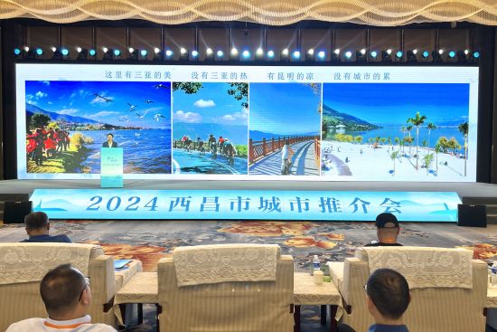 图为推介会现场。肖江川 摄 图为推介会现场。肖江川 摄
