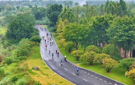 图为比赛现场。赛事组委会供图 图为比赛现场。赛事组委会供图