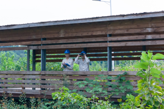 ͼΪ�����������ݹ��繫˾Ա���ƾ������������񱣻���Ѳ�Ӽ�顣����˪ ��