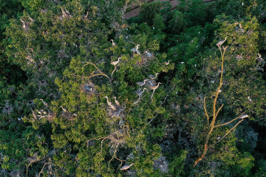 ͼΪ�����������ݹ��繫˾���������������ڣ������ڱ���������������Ϣ������˪ ��