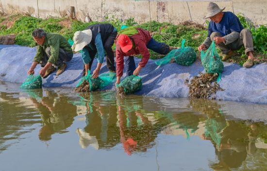 2024��3��29�գ�������С�������´嵾з��ҵ԰����������Ͷ��з�硣��Լ��Ӱ Ƚ��