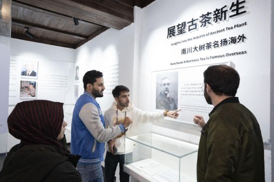 图为活动现场。南川区宣传部 供图 图为活动现场。南川区宣传部 供图