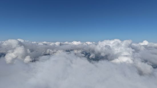 ͼΪ�������ƺ����ۡ������� ��