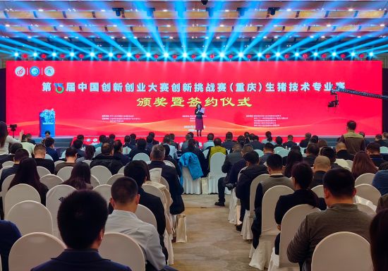 图为活动现场。 杨梦逸 摄 图为活动现场。 杨梦逸 摄