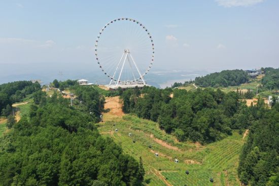 图为泡桐村国际生态农业旅游示范区。杨孝永 摄 图为泡桐村国际生态农业旅游示范区。杨孝永 摄