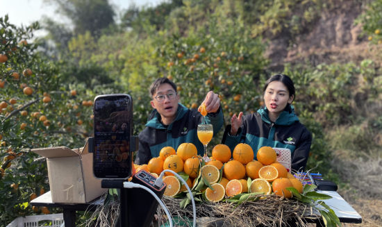 图为培训现场。铜梁区委宣传部 供图 图为培训现场。铜梁区委宣传部 供图