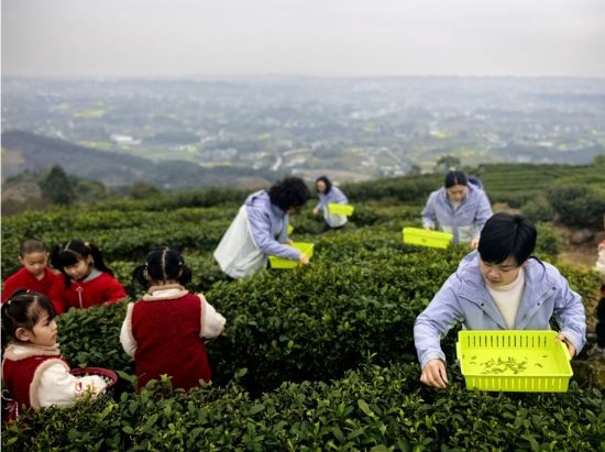 图为活动现场。永川区三官殿幼儿园 供图 图为活动现场。永川区三官殿幼儿园 供图