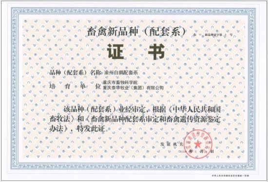 图为渝州白鹅配套系证书。重庆市畜牧科学院供图 图为渝州白鹅配套系证书。重庆市畜牧科学院供图