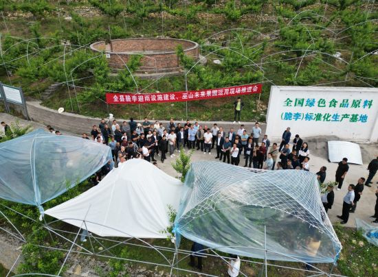 图为种植户们交流巫山脆李避雨设施设备经验。 巫山县委宣传部供图 图为种植户们交流巫山脆李避雨设施设备经验。 巫山县委宣传部供图