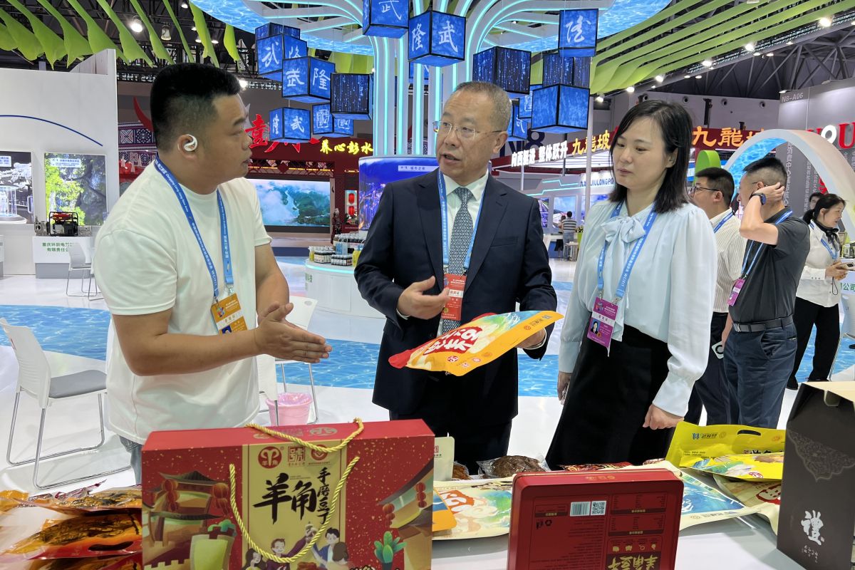 图为武隆区委副书记、区长左军巡馆。肖江川 摄 图为武隆区委副书记、区长左军巡馆。肖江川 摄