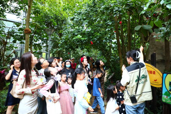 图为孩子们在南山植物园近距离观察植物。梁钦卿 摄 图为孩子们在南山植物园近距离观察植物。梁钦卿 摄