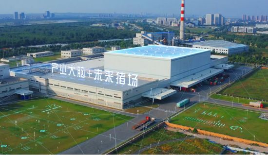 图为“未来猪场”效果图。 重庆移动供图 图为“未来猪场”效果图。 重庆移动供图